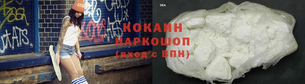 крисы Пестово
