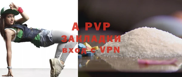 a pvp Пересвет