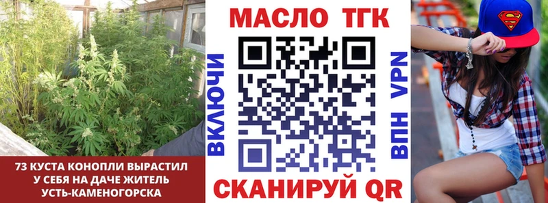 omg вход  Нижний Тагил  ТГК концентрат 