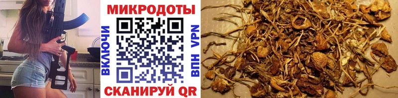 KRAKEN ONION  Нижний Тагил  Галлюциногенные грибы Psilocybe 